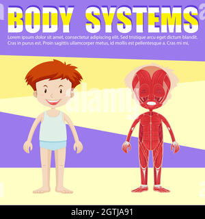 Infografik des Jungen und des Körperdiagramms Stock Vektor