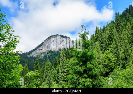 Landschaftlich reizvolle Aussicht von den Zanoagei-Schluchten (Cheile Zanoagei) im Naturpark von den Bucegi-Bergen (Muntii Bucegi) in Rumänien an einem sonnigen Sommertag mit wh Stockfoto