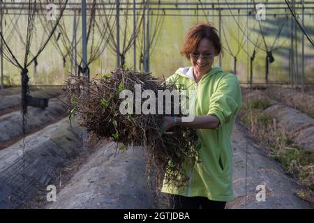 Eine Frau in grüner Jacke und Brille lächelt während der Arbeit auf dem Hof, Ausdruck des Glücks Stockfoto