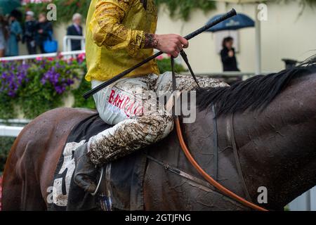 Ascot, Großbritannien. Oktober 2021. Jockey Tom Marquand sieht nach dem Rennen in der ABF/BGC Cumberland Lodge auf Pferd Ilaraab nett und schlammig aus Kredit: Maureen McLean/Alamy Live News Stockfoto