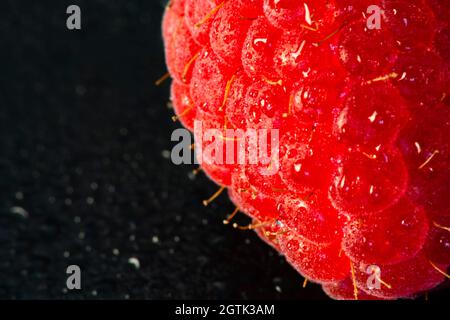 Makrofrucht: Reife Himbeere extreme Nahaufnahme, schwarzer Hintergrund, horizontales Format Stockfoto