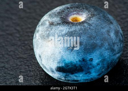 Makrofrucht: Reife Heidelbeere extreme Nahaufnahme, schwarzer Hintergrund, horizontales Format Stockfoto