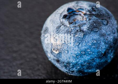 Makrofrucht: Reife Heidelbeere extreme Nahaufnahme, schwarzer Hintergrund, horizontales Format Stockfoto