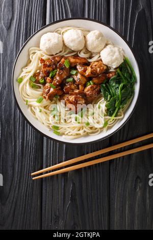 Mie ayam ist eines der beliebtesten Nudelgerichte in Indonesien, es gelbe Weizennudeln mit gewürfeltem Hühnerfleisch und Fleischbällchen Bakso in der Schüssel Stockfoto