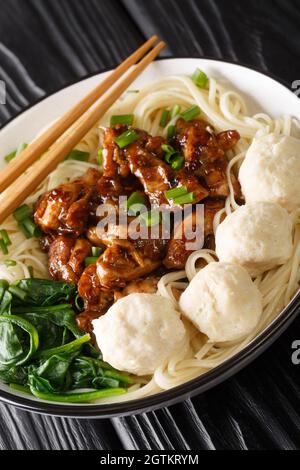 Mie ayam ist eines der beliebtesten Nudelgerichte in Indonesien, es gelbe Weizennudeln mit gewürfeltem Hühnerfleisch und Fleischbällchen Bakso in der Schüssel Stockfoto