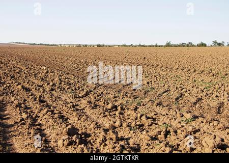 Landwirtschaftliche Hintergrund Der Neu Gepflügten Feldfurchen Bereit Für Neue Kulturen Stockfoto