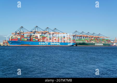 Containerschiffe COSCO VERSCHIFFT VIRGO und EVER GLOBE vertäut am Euromax Terminal. Stockfoto