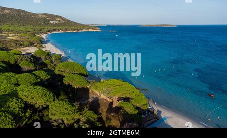 Luftaufnahme von Palombaggia Beach im Süden von Korsika, Frankreich - berühmte Pinienwald auf der Insel Korsika, in der Nähe des türkisfarbenen Wassers der Stockfoto