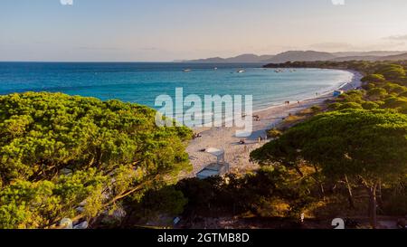 Luftaufnahme von Palombaggia Beach im Süden von Korsika, Frankreich - berühmte Pinienwald auf der Insel Korsika, in der Nähe des türkisfarbenen Wassers der Stockfoto