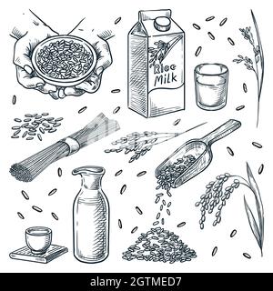 Produkte aus Reis auf weißem Hintergrund isoliert. Set mit vegetarischen Designelementen. Reismilch, Sake, Nudeln und Reiskorn Handgezeichnete Skizze V Stock Vektor