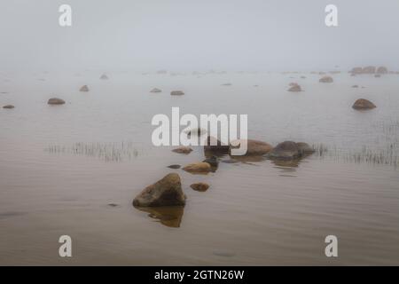 Die Ostseeküste ist mit Nebel bedeckt. Stockfoto