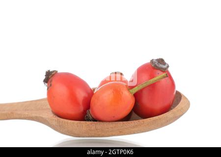 Mehrere leuchtend rote, reife Hagebutten mit einem Holzlöffel, Nahaufnahme, isoliert auf Weiß. Stockfoto