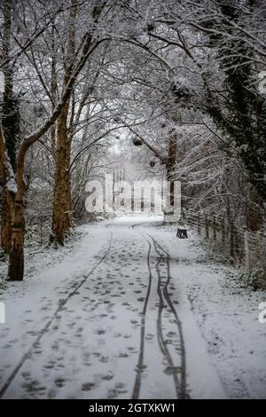 11/09/2021 Lagan Towpath Belfast im Schnee Stockfoto