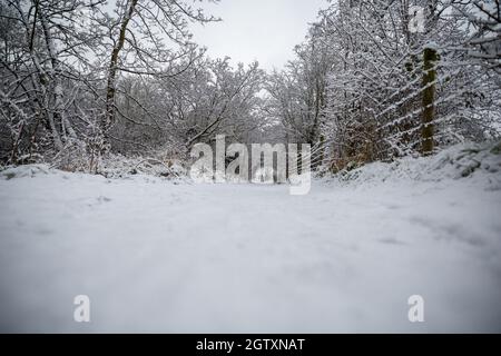 11/09/2021 Lagan Towpath Belfast im Schnee Stockfoto