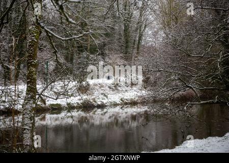 11/09/2021 Lagan Towpath Belfast im Schnee Stockfoto