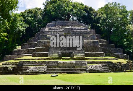 Der Jaguar Tempel in seiner Gesamtheit in Lamanai, Belize. Stockfoto