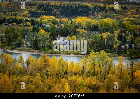 Mehrere Häuser in der Gemeinde Bowness, umgeben von Bäumen in Herbstfarben, in Calgary, Alberta, Kanada Stockfoto