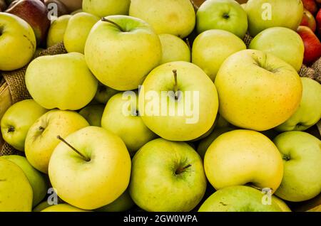 Knackig gelbe köstliche Äpfel aus dem Hudson Valley. New York. Nahaufnahme. Stockfoto