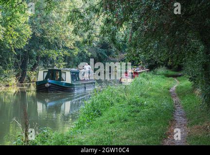 Ein grün gefärbtes, schmale Boot, das entlang des Kennet- und Avon-Kanals fährt Stockfoto