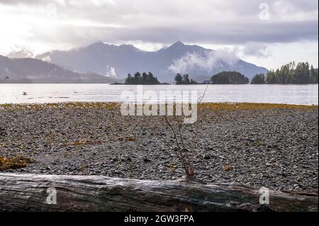 Sitka, Alaska Stockfoto