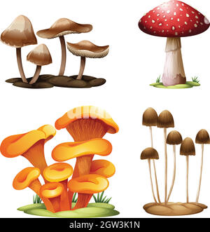 Verschiedene Arten von Pilzen Stock Vektor