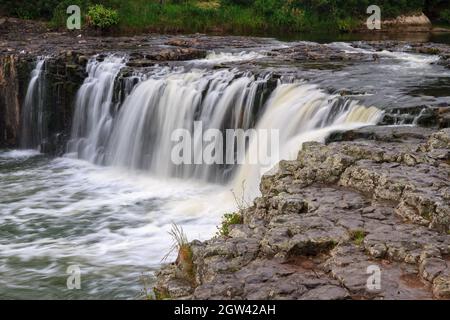 Haruru Falls, ein Wasserfall am Waitangi River in der Bay of Islands, Neuseeland Stockfoto