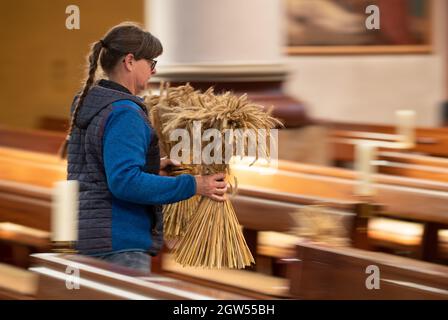 Melle, Deutschland. September 2021. Hildegard lange-Hörstmann vom Ortslandvolk Gesmold bringt Getreidegeschenke in die Peterskirche im Bezirk Gesmold. Unter dem Motto "Ich werde mein ganzes Leben lang dem Herrn singen und meinen Gott Preisen, solange ich bin." (Psalm 104, 33) der Bund der Evangelischen Kirchen in Niedersachsen und die Agrar- und Lebensmittelindustrie Niedersachsens laden zum Erntefest ein. Quelle: Friso Gentsch/dpa/Alamy Live News Stockfoto