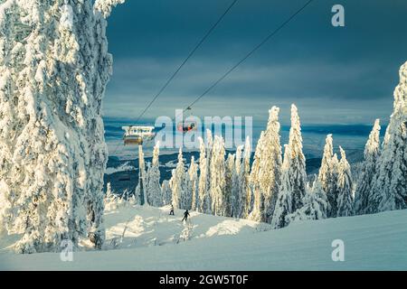 Skifahrer auf dem Skilift im verschneiten Wald. Majestätisches Skigebiet mit verschneiten Pinien und Skifahrer auf der Piste bei Sonnenuntergang, Poiana Brasov, Siebenbürgen, Stockfoto