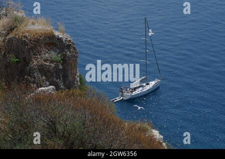 Spontane Pflanzen auf der Klippe der Insel San Nicola, Inseln Tremiti, im Hintergrund ein Segelboot. Adria, Apulien, Italien Stockfoto