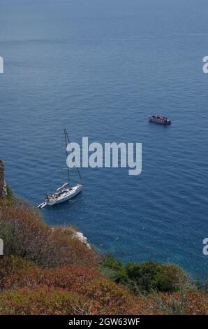 Spontane Pflanzen auf der Klippe der Insel San Nicola, Inseln Tremiti, im Hintergrund ein Segelboot. Adria, Apulien, Italien Stockfoto