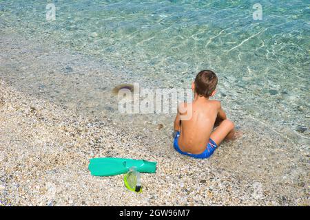 Die berühmte braune Qualle oder „mediterrane Qualle“ oder besser bekannt als Cotylorhiza tuberculata erscheint Ende Juli bis in die ersten Oktobertage Stockfoto