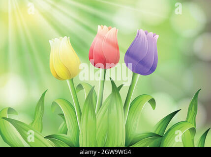 Bunte Tulpe in Natur Hintergrund Stock Vektor