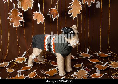 Hund mit Strickjacke Herbst Herbst Stockfoto