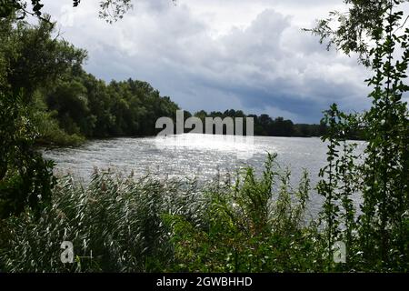 Paxton Pits Nature Reserve, Little Paxton, Cambridgeshire, Großbritannien Stockfoto