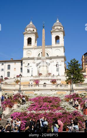 Italien, Rom, Spanische Treppe mit Blumen im Frühling Stockfoto