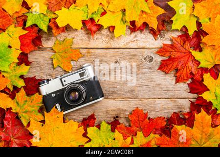 Alte Kamera und bunte Herbst Ahornblätter. Herbstzusammensetzung mit trockenen bunten Blättern. Stockfoto