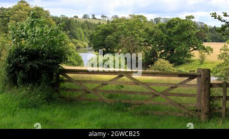 Blick über ein Farmtor auf den Fluss Annan in Dumfries und Gallaway Stockfoto