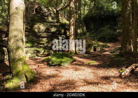 Über raue und glatte Strecken: In einigen Teilen folgt der Wanderweg GOLDSTEIG den steilen Bergwegen durch den Bayerischen Wald. Stockfoto