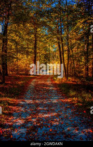 Schlossgarten Nymphenburg : herbstliche Atmosphäre Stockfoto