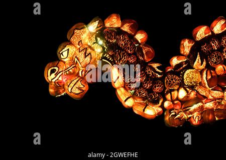 Beleuchtete Lichtskulptur eines Drachen, der für Halloween-Dekorationen oder -Displays verwendet wird. Calgary, Alberta, Kanada Stockfoto