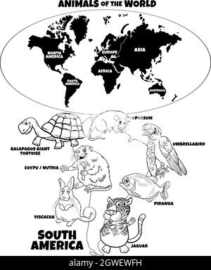 Pädagogische Illustration der südamerikanischen Tiere Farbe Buchseite Stock Vektor