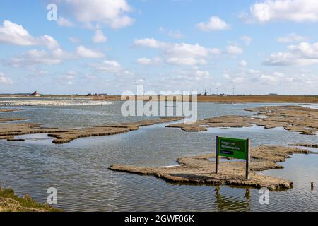 Petten aan Zee, Noord-Holland, Niederlande. 16. April 2021. Sicherer Zufluchtsort für Vögel während des Vogelzugs, Sümpfe und Pfützen am Fuße der Hondsbossche Stockfoto