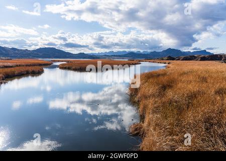 Das Bill Williams River National Wildlife Refuge in der Nähe des Zusammenflusses mit dem Colorado River am Lake Havasu. In der Ferne befindet sich der Whipple Mountain Stockfoto