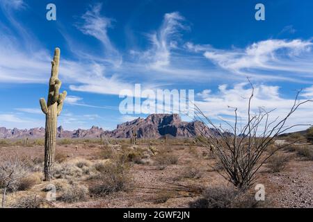 Saguaro Cactus, Ocotillo und die Kofa Mountains im Kofa National Wildlife Reserve, in der Nähe von Quartzsite, Arizona. Stockfoto