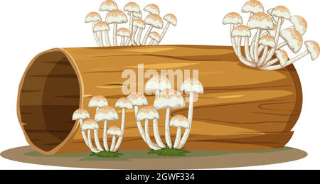 Pilz auf Log isoliert auf weißem Hintergrund Stock Vektor