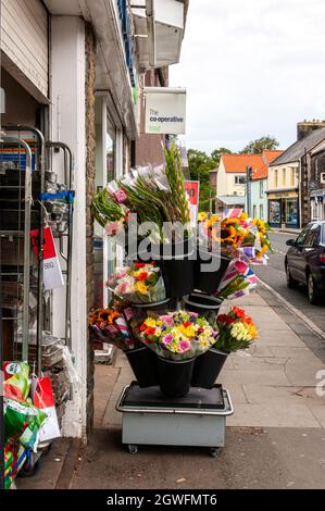 Die Hauptstraße durch die kleine Marktstadt Wooler mit vielen Geschäften und Pubs, beliebt bei Spaziergängern und als das Tor zu den Cheviots bezeichnet Stockfoto