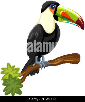 Toucan Vogel auf einem Zweig isoliert auf weißem Hintergrund Stock Vektor