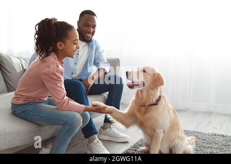 Konzept der menschlichen und tierischen Verbindung. Gehorsamer Hund, der seinem Besitzer im Wohnzimmer Pfote gibt, fröhliches, glückliches, schwarzes Teenager-Mädchen, das zu Hause ihr Haustier trainiert, Stockfoto