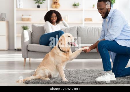 Konzept der menschlichen und tierischen Verbindung. Gehorsamer Hund, der seinem Besitzer im Wohnzimmer Pfote gibt, fröhlicher, fröhlicher schwarzer Kerl, der zu Hause sein Haustier trainiert und lächelt Stockfoto