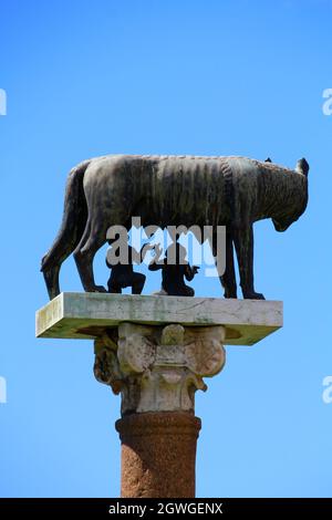 Romulus und Remus Statue Pisa Stockfoto